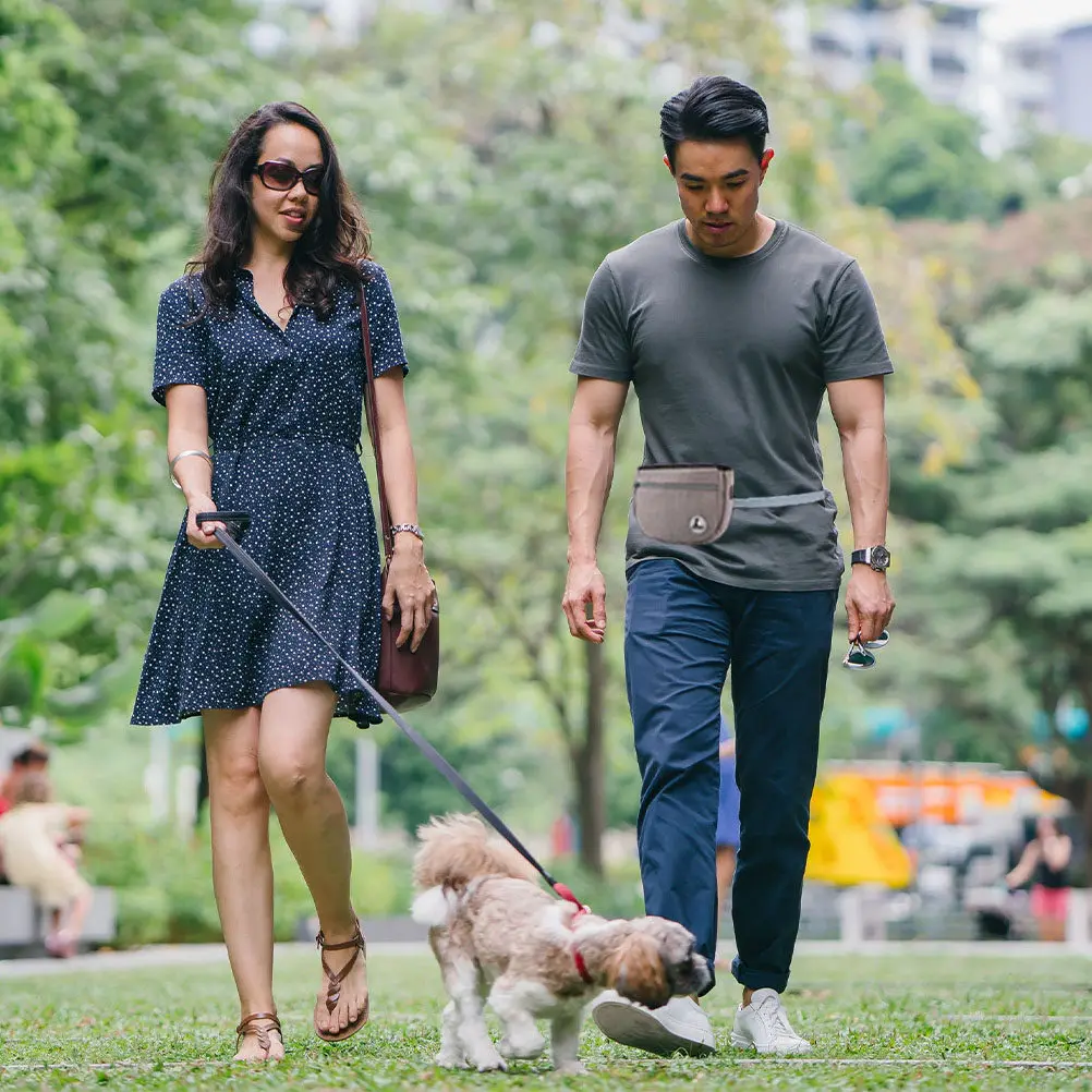 

Портативная сумка для лакомств для собак, большая вместимость, водонепроницаемая, поясная сумка для тренировок, держатель для уличных прогулок и путешествий, для лакомств для питомцев