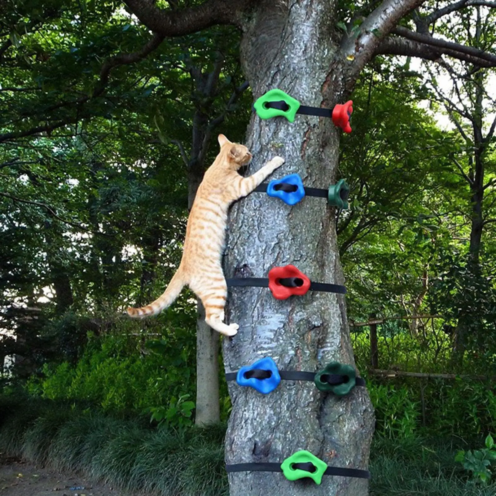 Tree Climbing Equipment Adjustable Lightweight Obstacle Course Training Boys Girls Children Family Climber Backyard Adventure