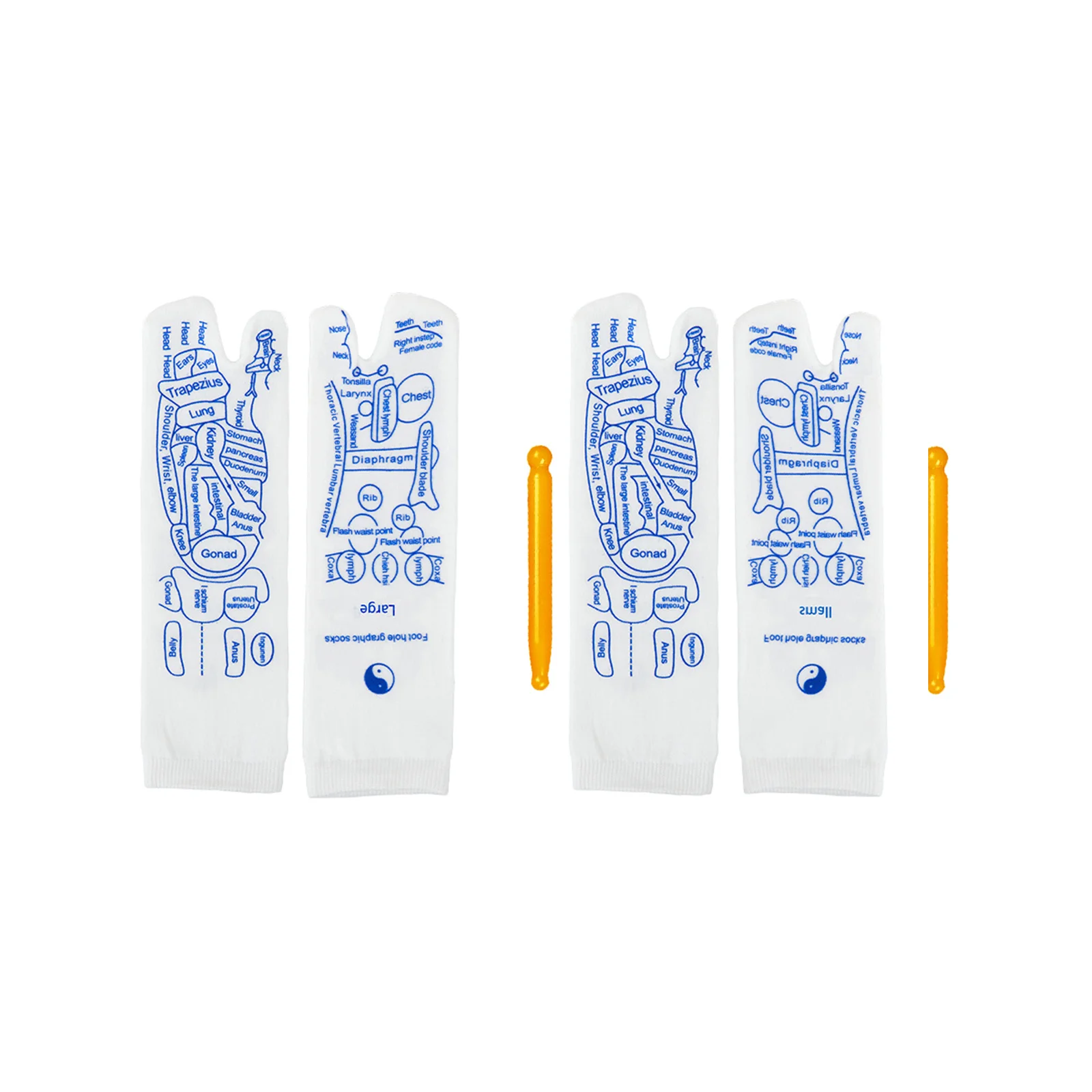 

Unisex English version acupoint map socks set (including acupoint function)