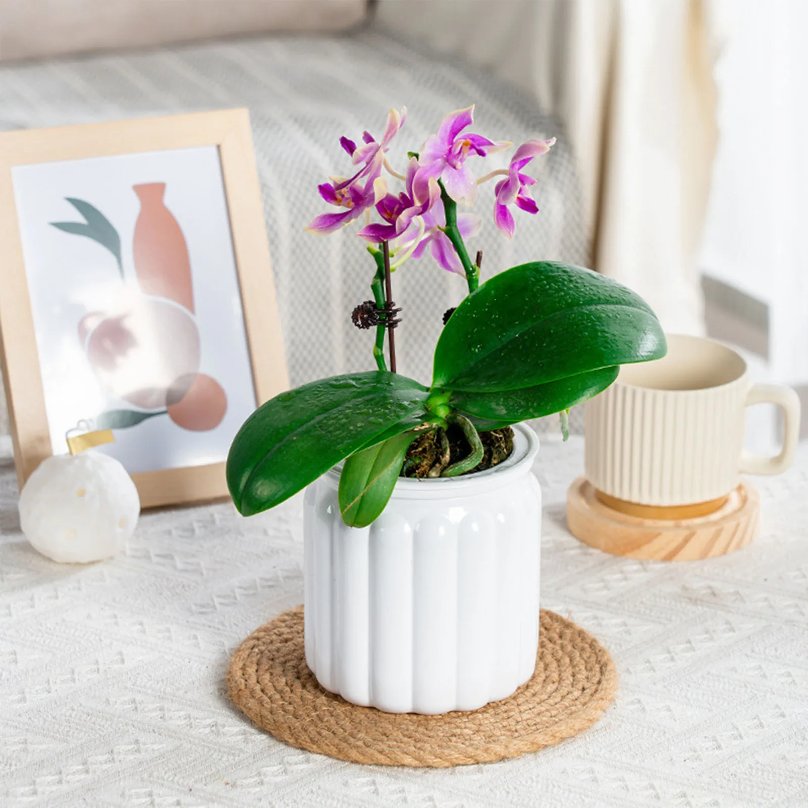 

1pc Lastic Flower Pot Succulent Plant Pot Self Watering Planter Home Tabletop Flower Pot Home Bonsai Decor Modern Decoration