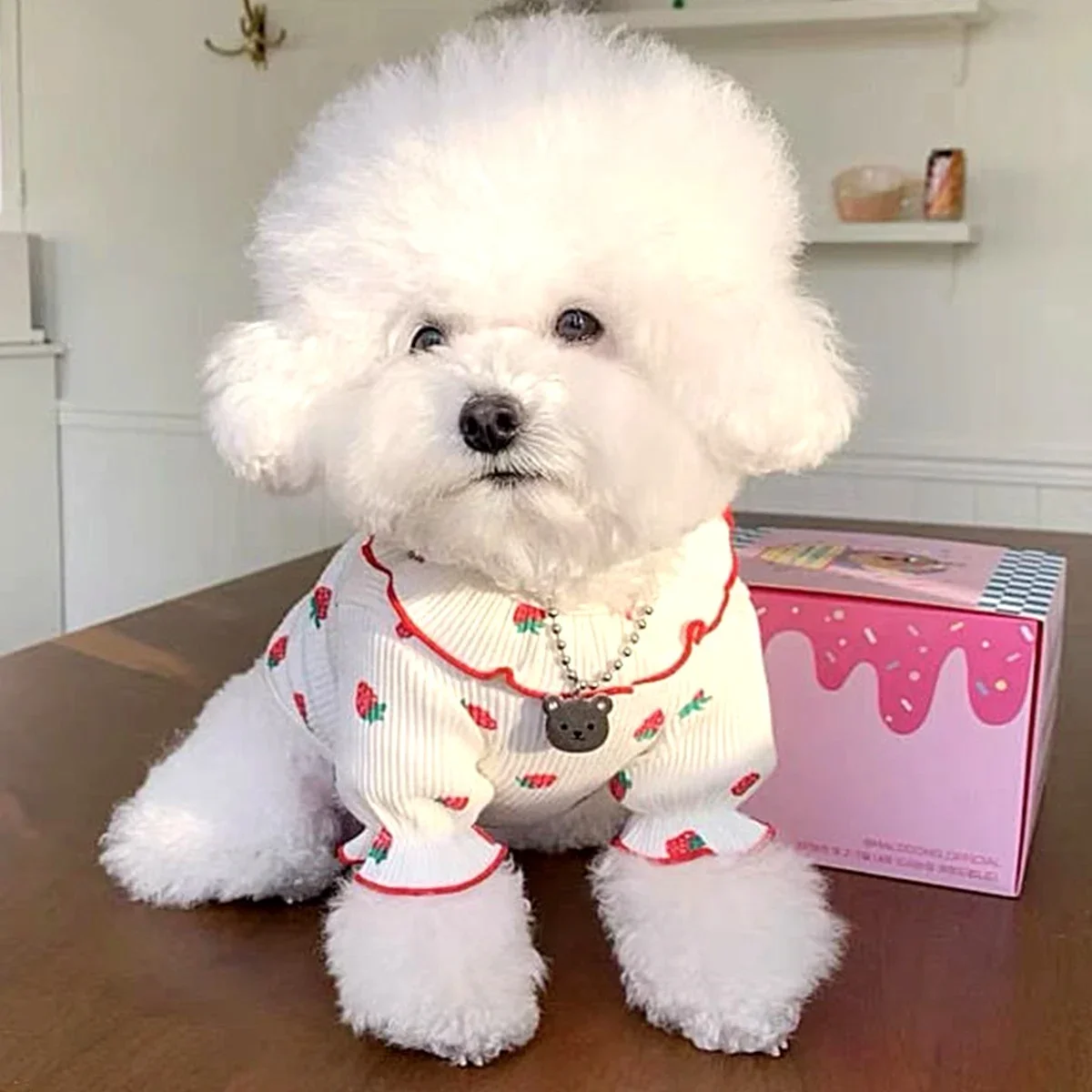 Strawberry Small Dog Clothes Summer Breathable Clothing for Cat Cute Dog Clothing for Small Dog Vest Ruffled Collar Pet Clothes - view 2