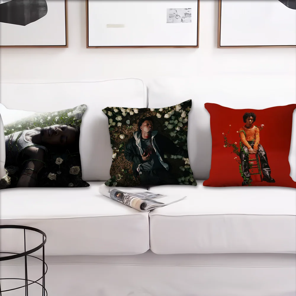 Singer D-D4vd withered cushion cover For Pillow Printing Sofa Decoration Home Car Room Coffee Shop Office Nordic Simplicity