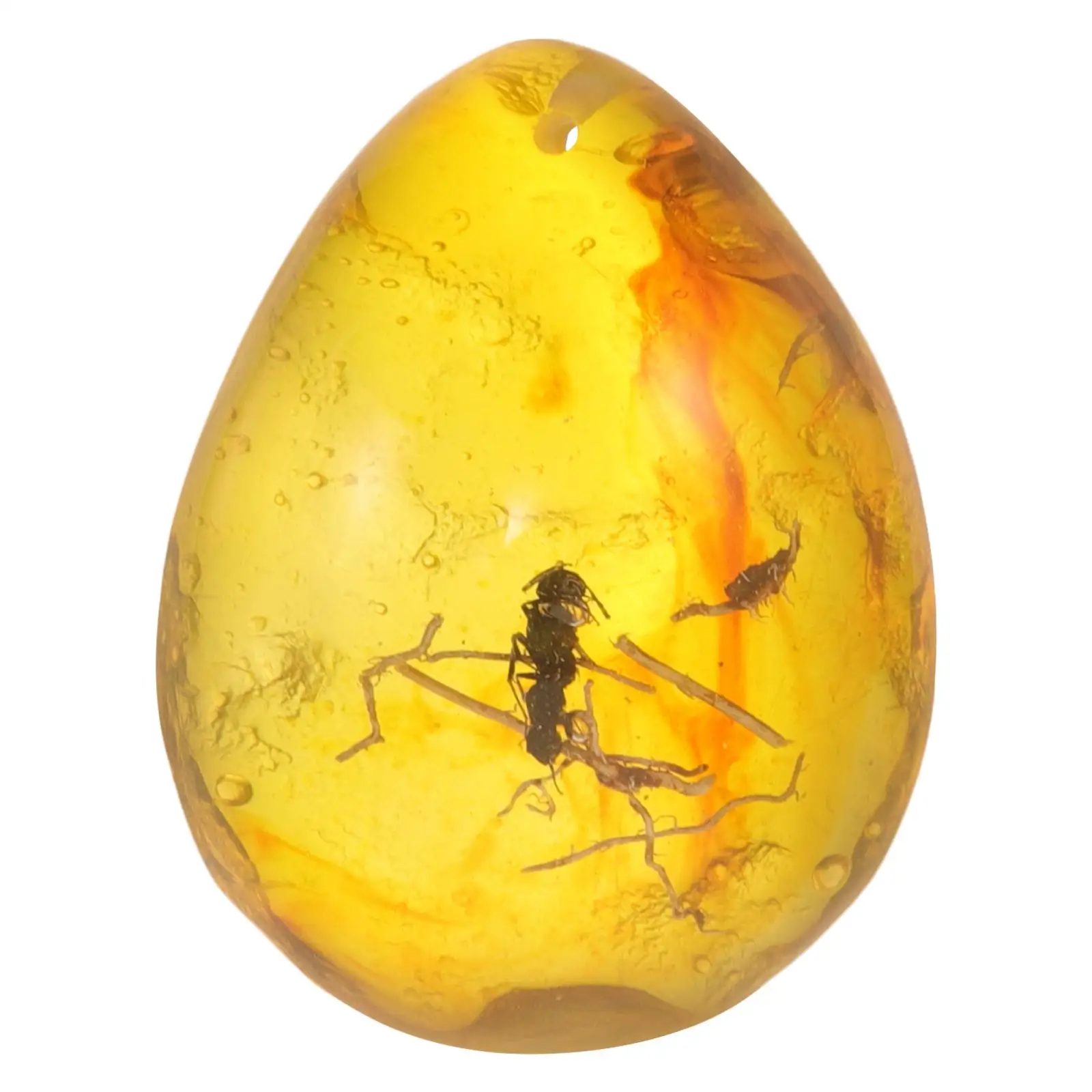 Amber Locket Insect Pendant Ornament DIY Crafting Specimen Insects Pendants Beeswax
