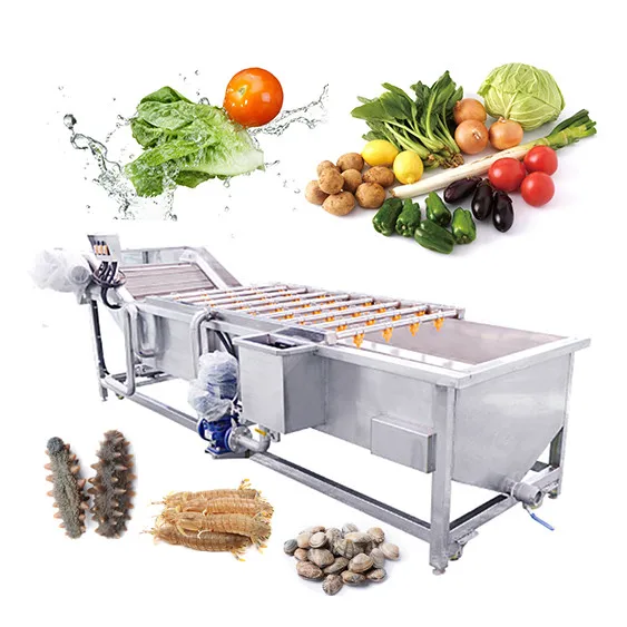 Beet Apple Tilting Wild Vegetable Washer Ultrasonic Tea Leaf Clean Strawberry Wash Machine in India