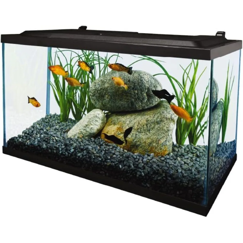 

Aquarium Complete LED Lighting Fishbowl, Fish Tanks, Filtration and Accessories, Free Shipping, 10 Gallons