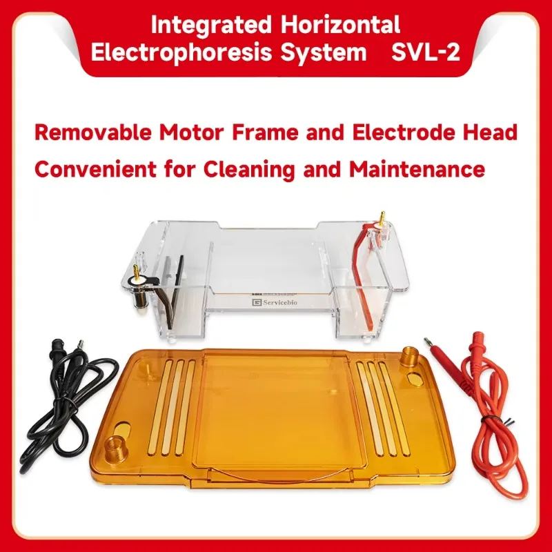 نظام الرحلان الكهربي المتكامل المحمول جهاز الرحلان الكهربائي الأفقي لخزان الرحلان الكهربائي لمختبر PCR
