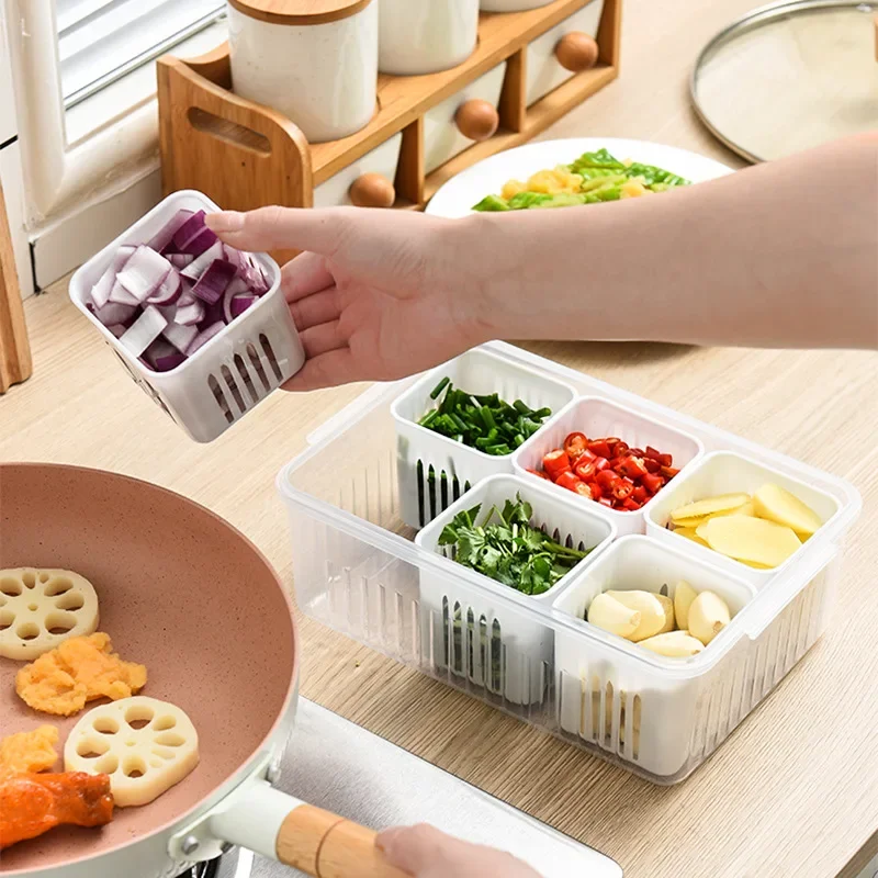 Plastic Sealed Jar Grid Scallion Fresh-keeping Box Onion Caja Fresca Свежий Ящик Frischkästchen Boîte De Conservation 신선도 유지함