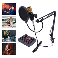 Microphone with V8s Live Sound Card Condenser Microphone Bundle for BM-800 Gamers Live Streaming