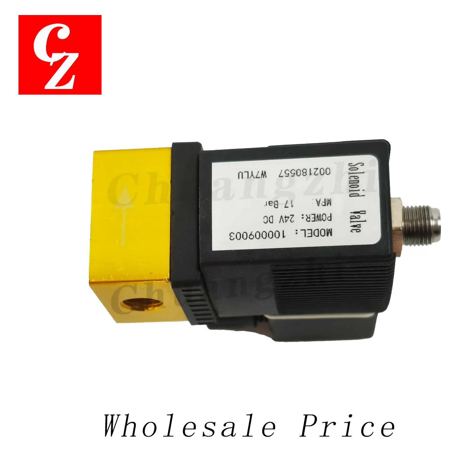 High Quality Solenoid Valve 24VDC 17bar for Compair Air Compressor Parts 100009003 Warranty 1 Year