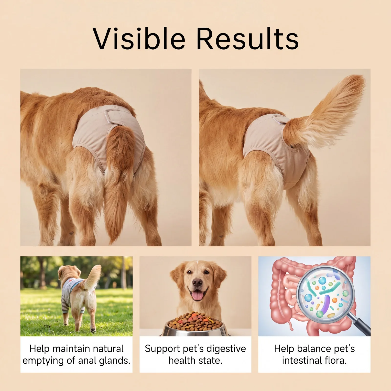 Joint Support Soft Chews Hip Care Supplement for Senior Dogs Mobility Health Relief Mild Formula Nutritional Dog Treats 3