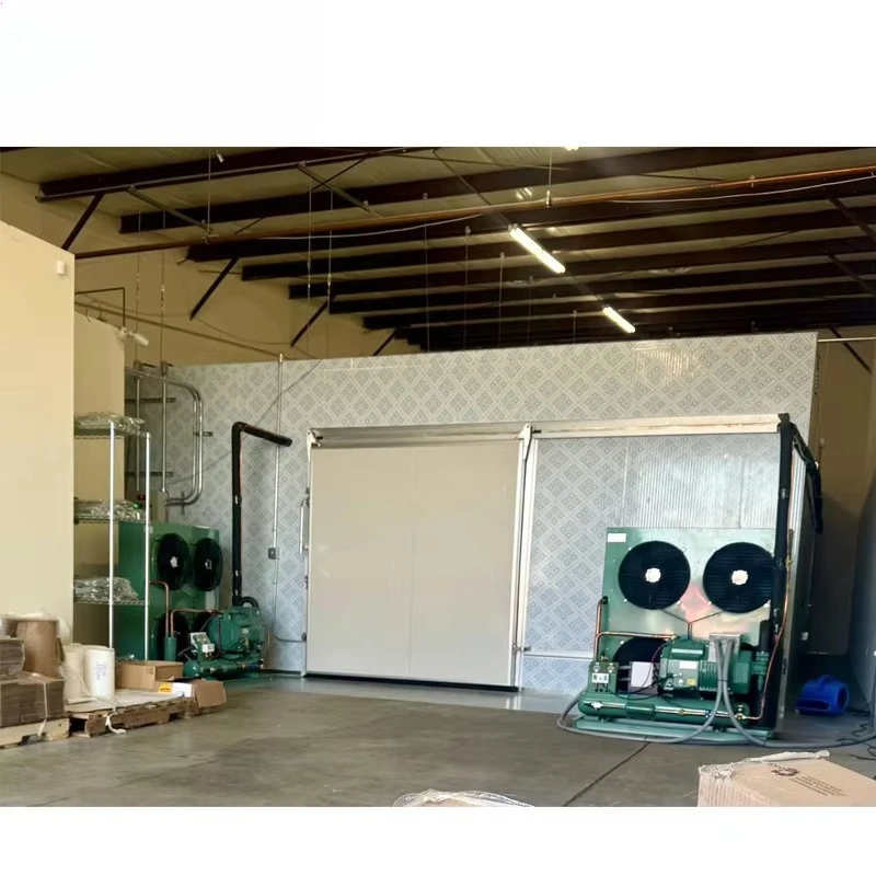 Customized Mobile Container Cold Storage With PU Insulation Panels Double Door Dual Positive Negative Temperature