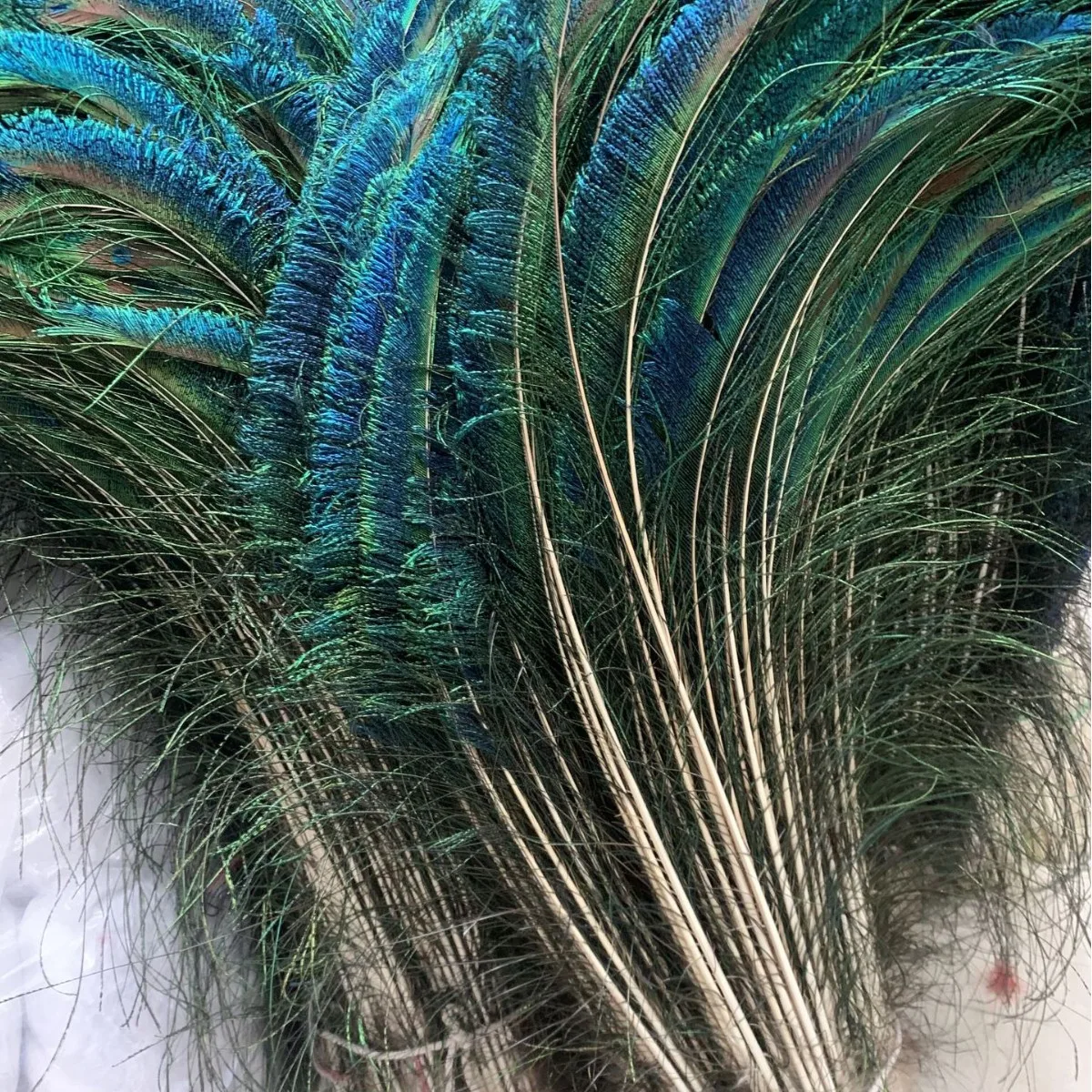 

Wholesale Left & Right Peacock Side Feathers 80-100cm Natural Plumes for Vase Flower Arrangement Home Decor Stage Performance