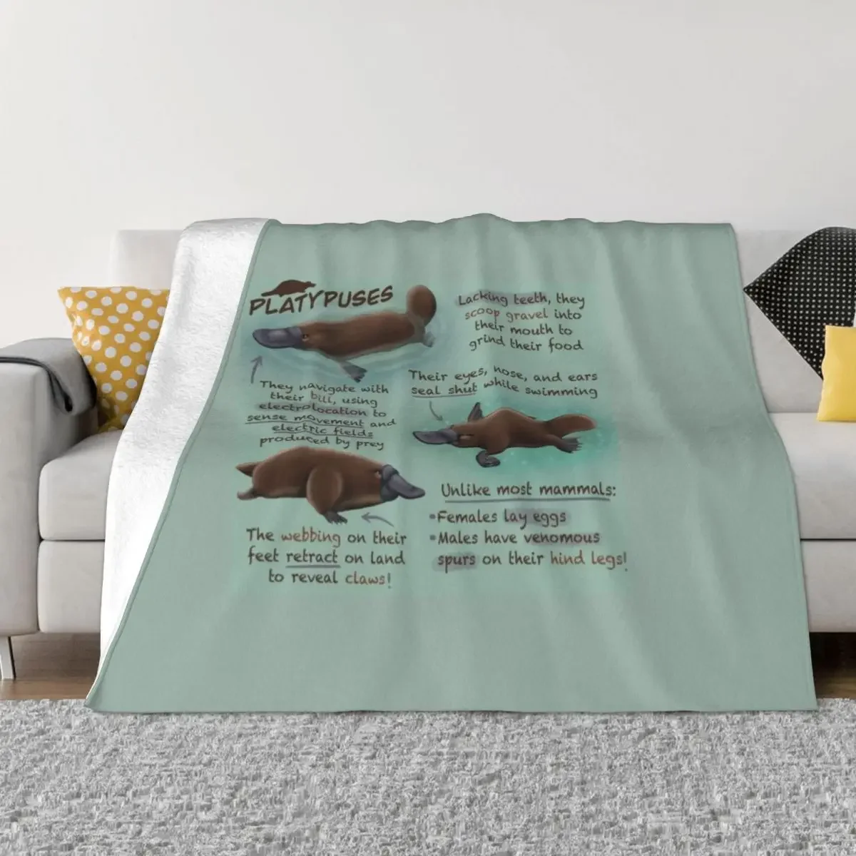 Platypuses Fun Facts Throw Blanket Blankets For Bed christmas gifts Blankets