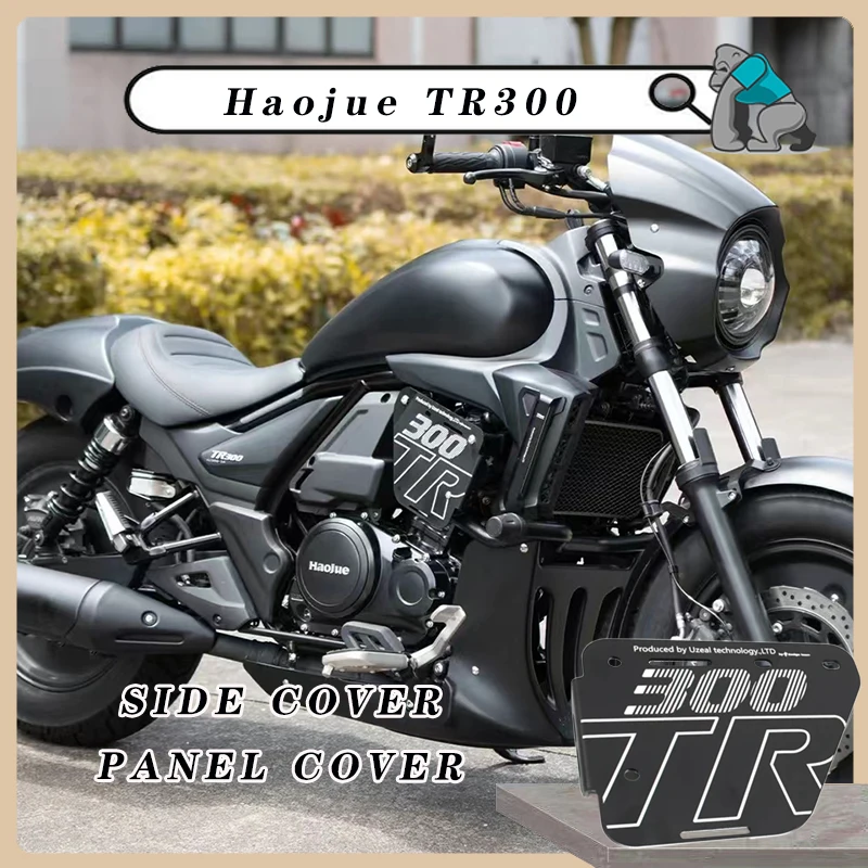

Motorcycle Modification Parts Aluminum Alloy Side cover Panel Cover Customized for Haojue TR300 Cruiser