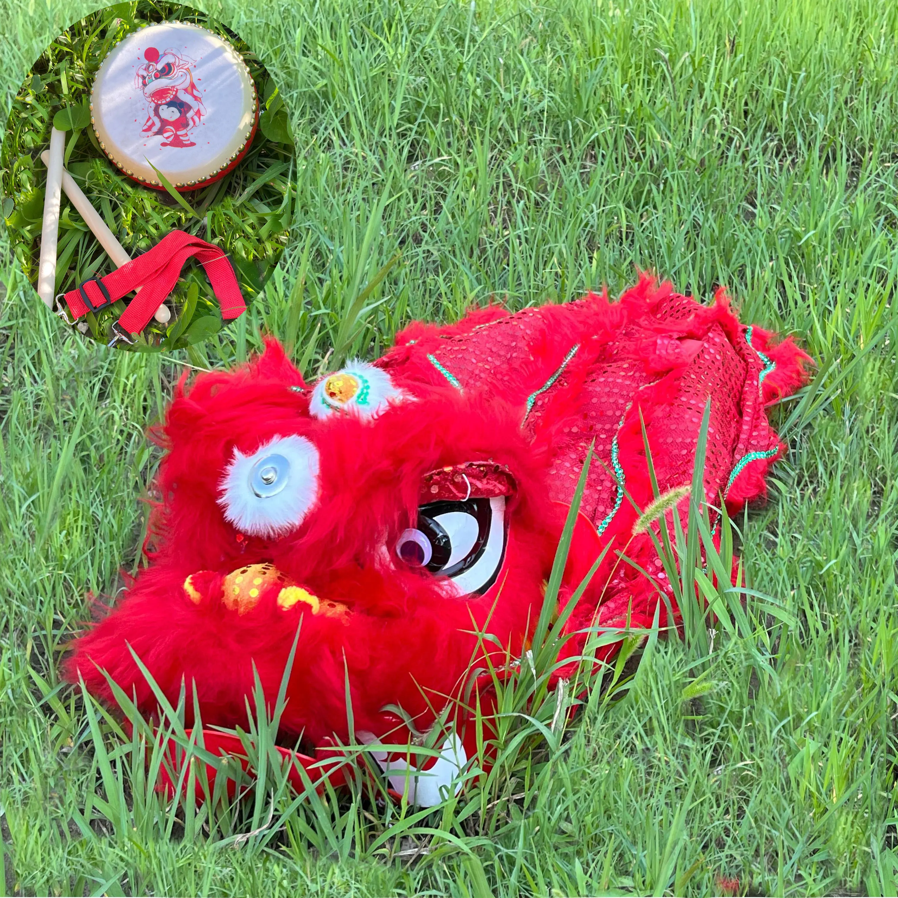 

Royal 14 inch Lion Dance 5-12 Age Costume Drum Kid Boy Girl WZPLZJ Gift Party Performance Park Game Even Mascot