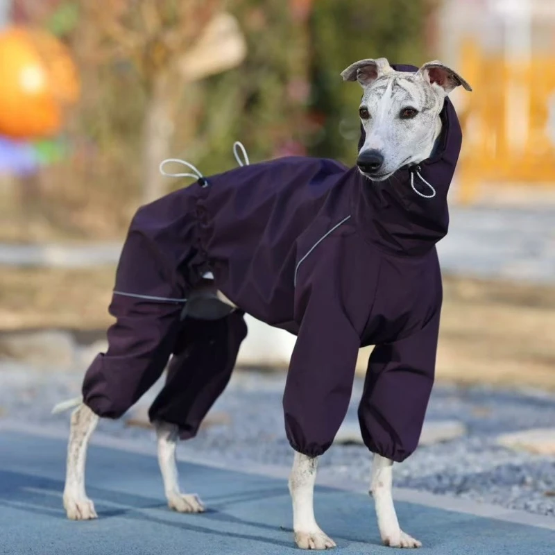 Abrigo impermeable para perros Greyhound y Whippet – Antimancha - imagen 2