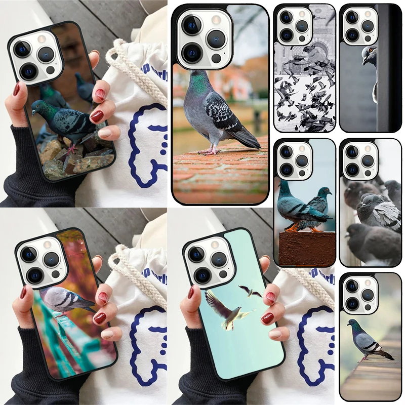 Pigeons Collage Cover For iPhone 16 13 14 15 Pro Max 12 Mini 11 15 Pro Max 6 7 8 Plus Max SE 2020 Phone Case