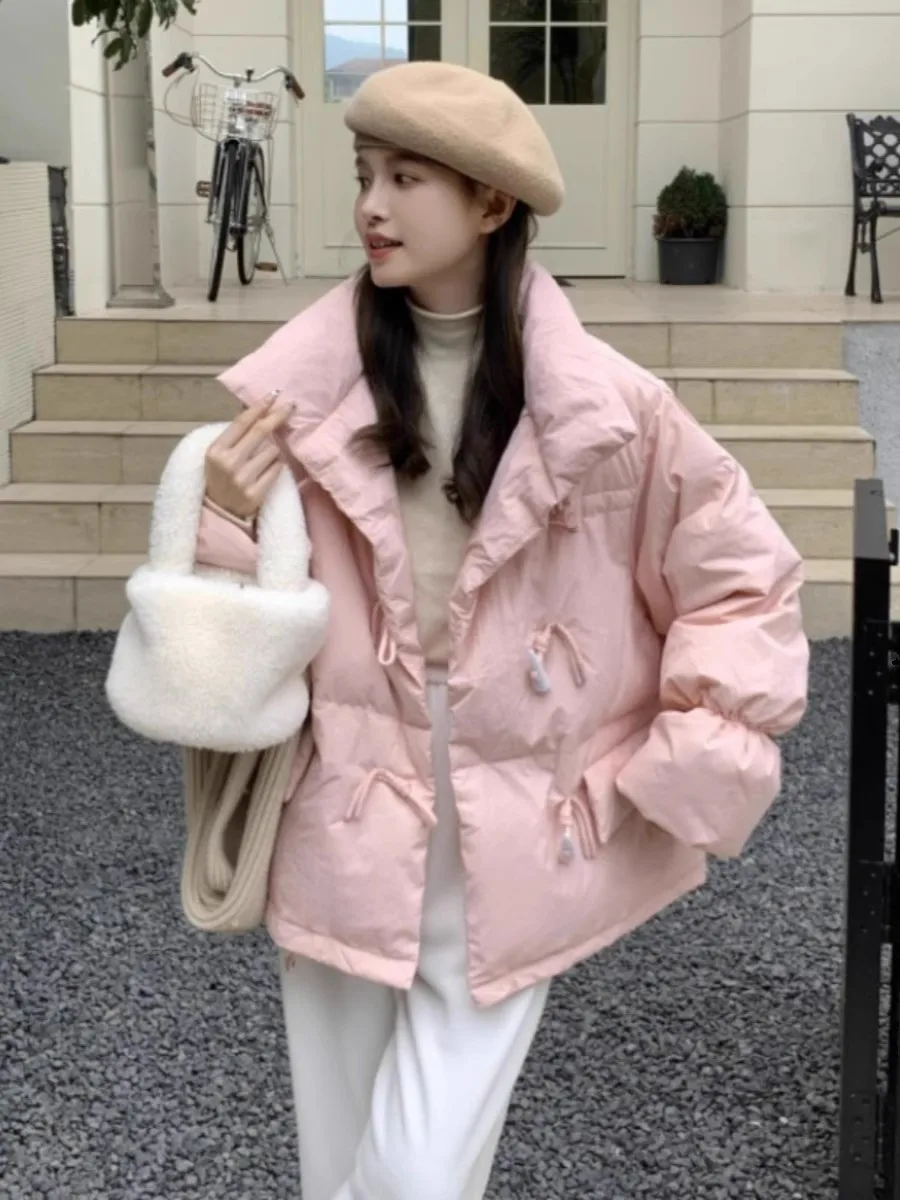 Women's down Cotton Jacket 2024 Trendy Winter Korean Style Loose Student Cotton Coat Thickened Long Sleeve Stand Collar
