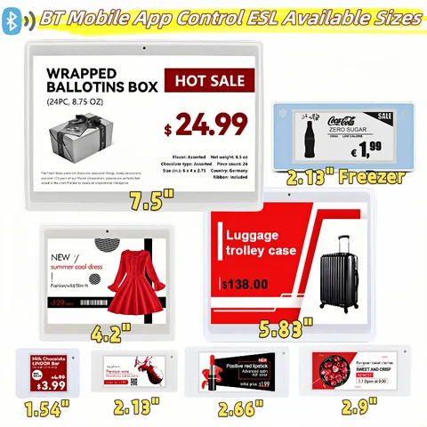 모바일 앱 제어 BT BLE ESL 독립형 전자 종이 가격표, 전자 잉크 화면, 전자 가격표, DIY 전자 선반 라벨, 디지털