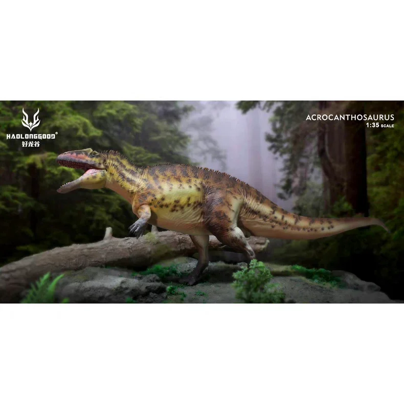 

NEW HAOLONGGOOD Dinosaur Figure Acrocanthosaurus Jurassic World Simulated Animal Model Cretaceous Dinosaurs Collection Toy Gifts