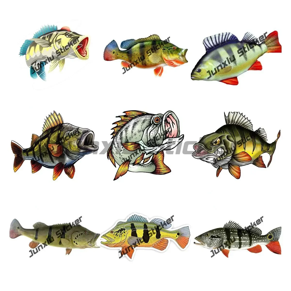 

Peacock Fishs Decal Outdoors Fisherman Go Fishing Funny Fish Stickers Fishs Sticker Decal Fishing Bumper Sticker Fish Auto Decal