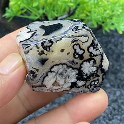 Natural Mineral Black Cherry Blossom Polyhedral Crystal Ore Specimen Home Decoration Feng Shui Ornaments