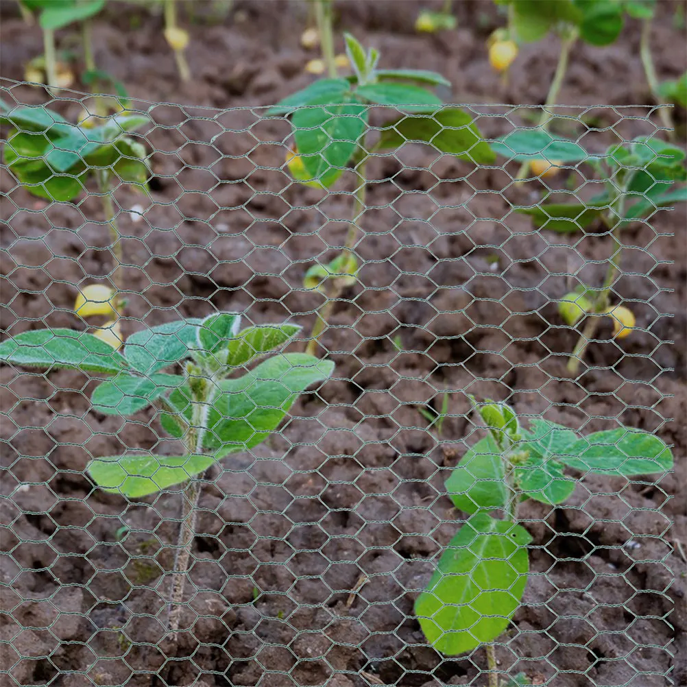 

Chicken Cage Net Wire Netting Mesh Galvanized Poultry for Garden Pens Hexagonal