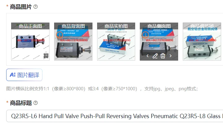 Q23R5-L6 Hand Pull Valve Push-Pull Reversing Valves Pneumatic Q23R5-L8 Glass Equipment