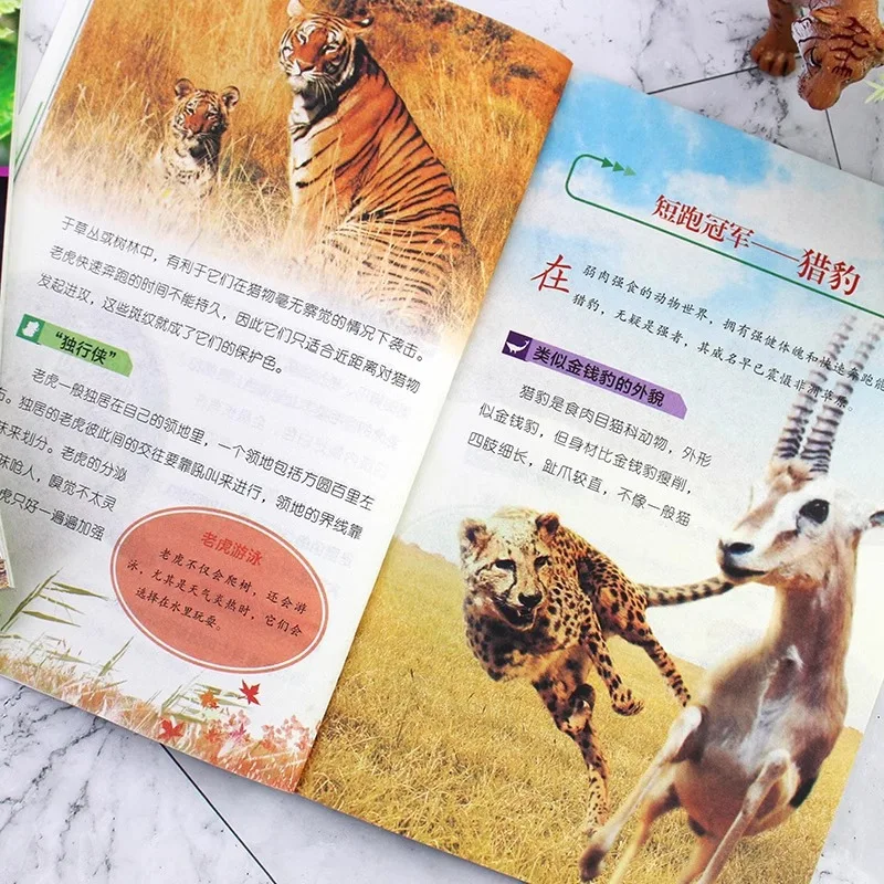 Explore The Magical World of Animals, Children's Favorite Animal Science Books Encyclopedia