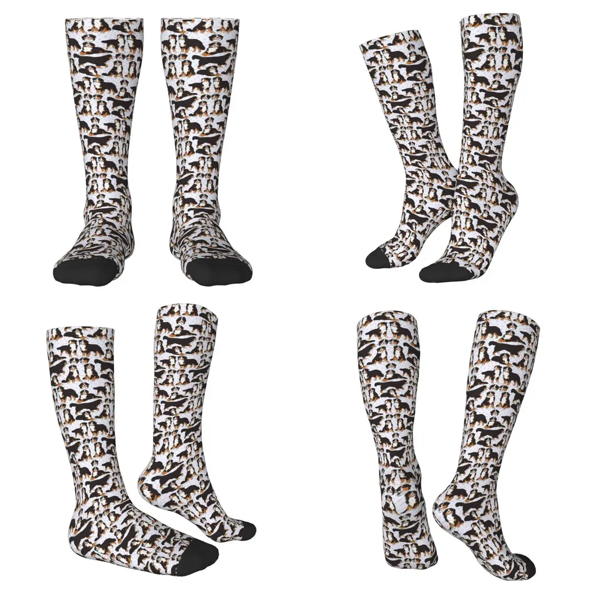 

Всесезонные носки с милым узором для бернского зенненхунда, спортивные носки в стиле Харадзюку, мягкие повседневные чулки для мужчин и женщин