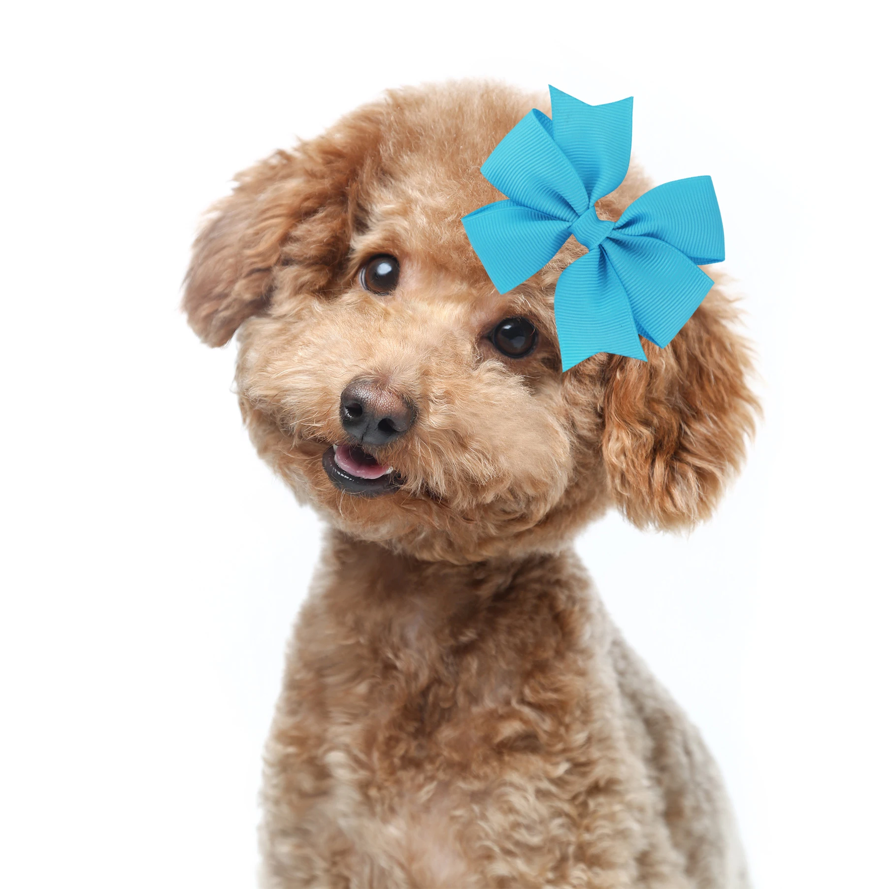 50/100PCS Large Dog Hair Clips Bows Pet Dog Hair Bows Diamond Small Dog Hair Accessories Dog Grooming Accessories