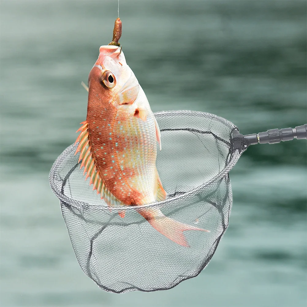 

Telescopic Fishing Net Extendable Handle Durable Fine Mesh For Aquarium Fish Tank Pool Cleaning Tools Shrimp Crab Capture Pond