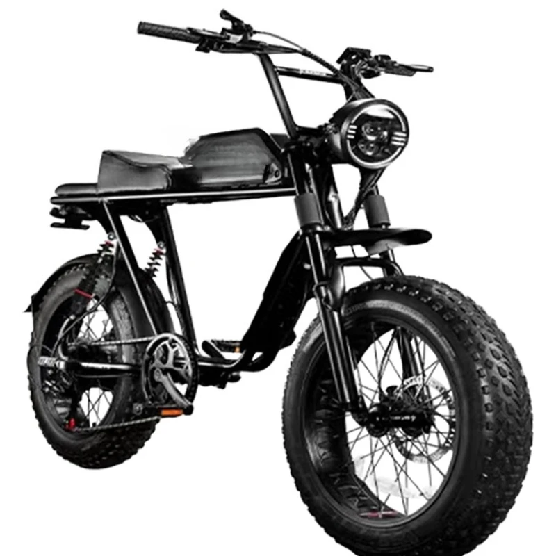 20-Zoll Retro-Elektrofahrrad nach neuem nationalen Standard für Erwachsene, elektrisches E-Donkey-Batterie-Fahrzeug, klein, für Damen