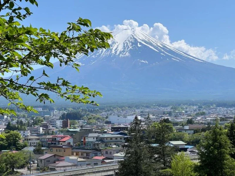 

2 Pcs Lot Car Stickers Van Sport Stripes Door Graphics Vinyl Decals Accessories For Mercedes Benz Vito Viano V Class W447 W639