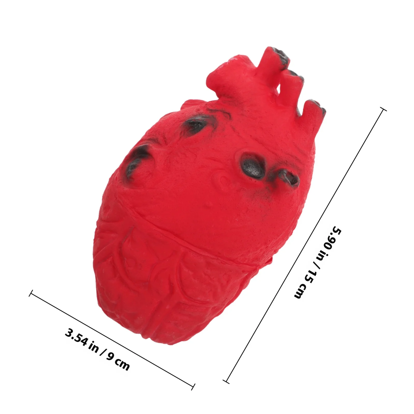 Spaventoso cuore di Halloween Prop Simulazione realistica Organo corporeo per festa in costume Maschera pasquale Festival Cortile Haunt Decor