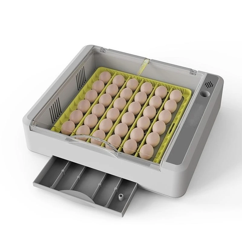 Incubator Small household type chicken, duck, goose, bird and poultry climbing pet egg incubator Full automatic temperature