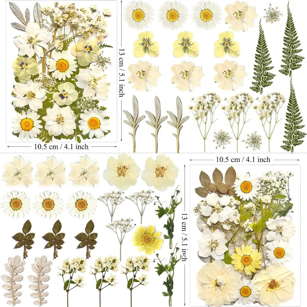 ดอกไม้แห้งสีขาว 90 ชิ้นสำหรับแม่พิมพ์เรซิน, ใบไม้แห้งธรรมชาติแท้สำหรับงานฝีมือ DIY, เครื่องประดับอีพ็อกซี่, เทียน