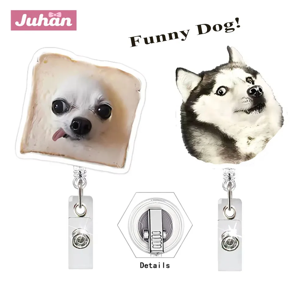 Porte-étiquette de nom rétractable porte-clés porte-carte d'identité en acrylique bobine de Badge de chien drôle à clipser pour infirmière enseignant école bijoux cadeaux