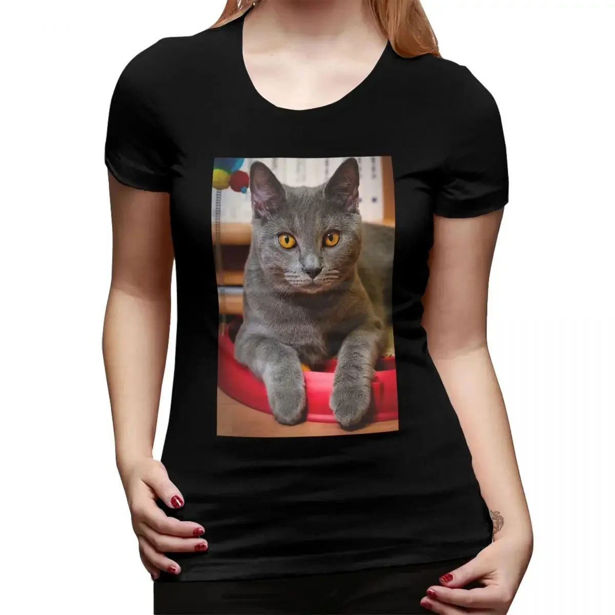 Camiseta con estampado de gato Chartreux con ojos dorados para mujer, camisetas de cuello redondo, ropa de calle, camisetas cortas de verano para mujer