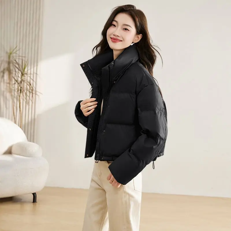 Winter Cropped Jacket Warm Parkas Stand-up Collar Chic Design Puffer Jacket Streetwear Long Sleeve Korean Loose Thick Coat Parka