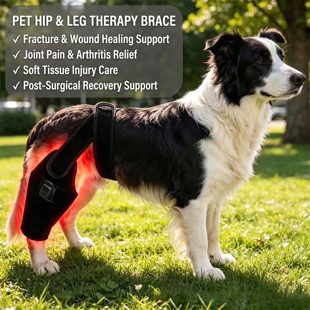 pet-dog-leg-brace-red-light-therapy-660nm-850nm-near-infrared-hip-joint-pain-relief-arthritis-post-surgical-recovery-wrap