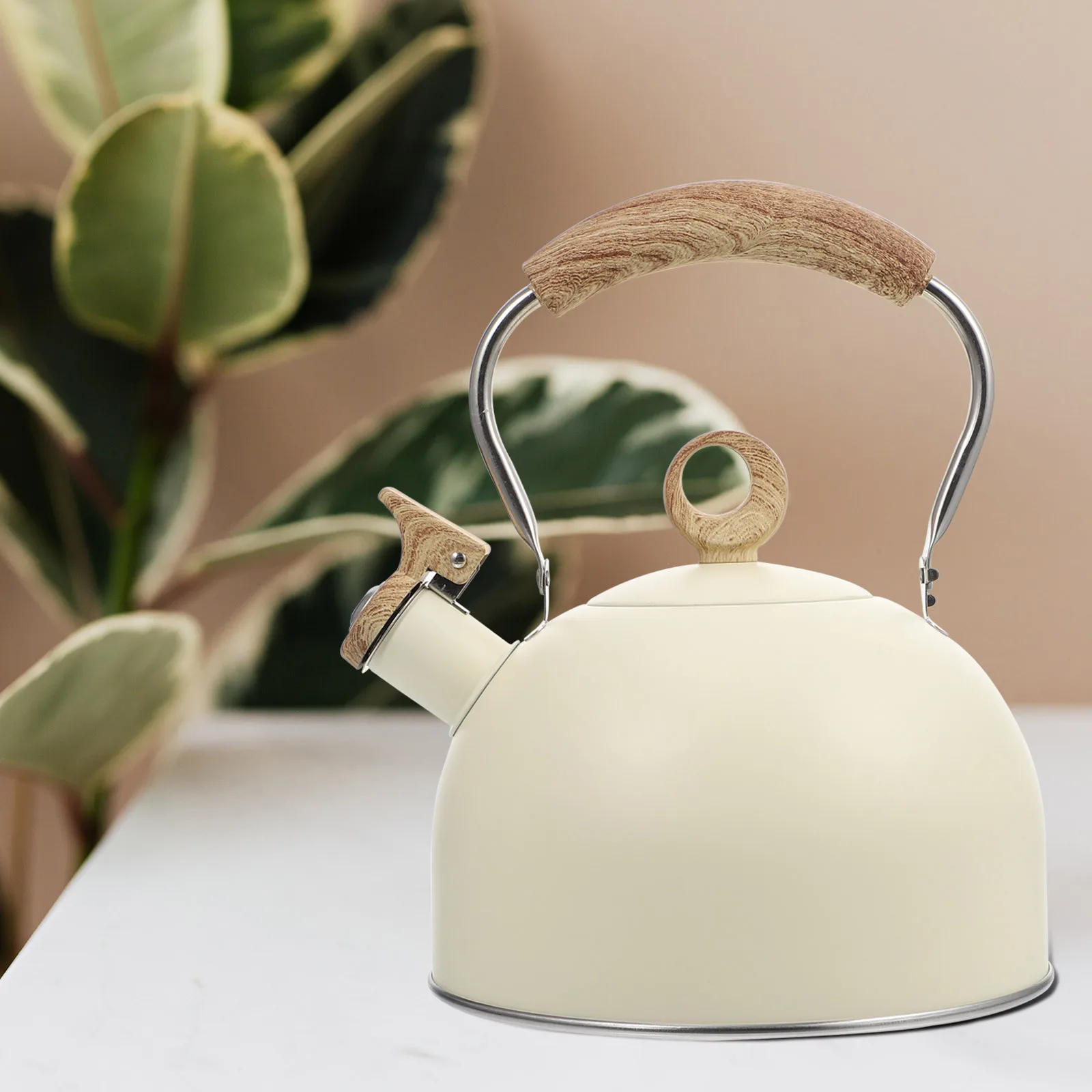 

Stainless Steel Whistling Teakettle For Boiling Water Tea Making Kitchen Use Whistle Kettle Kettle