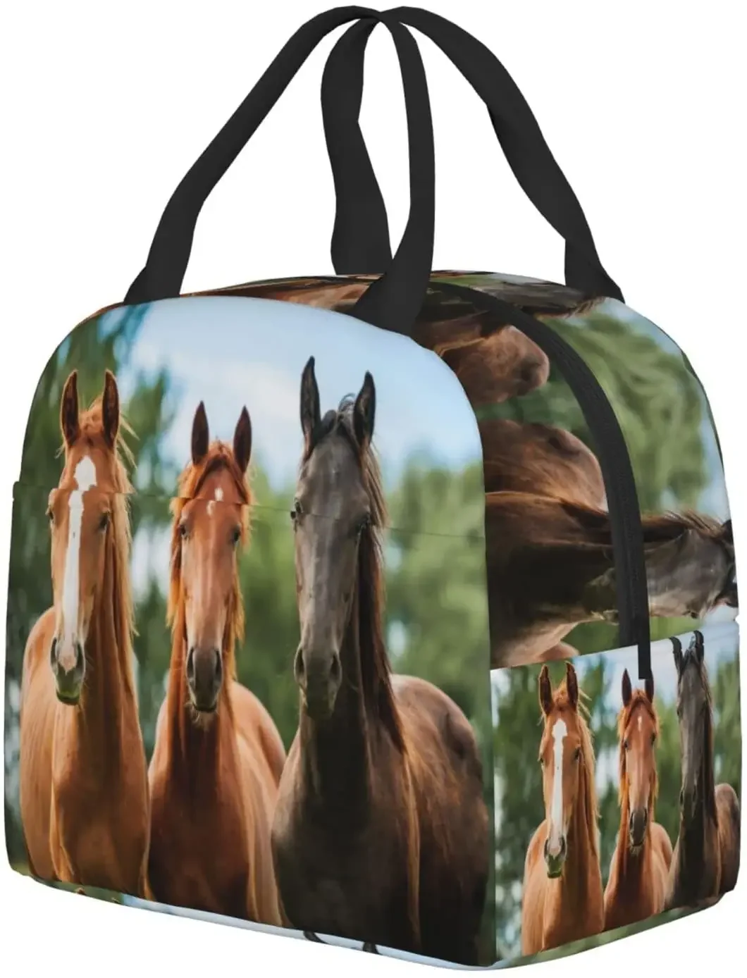 Horses Lunch Box Insulated Lunch Bags for Kids Boys Girls Reusable Lunch Tote Bags, Perfect for School Camping Hiking Picnic