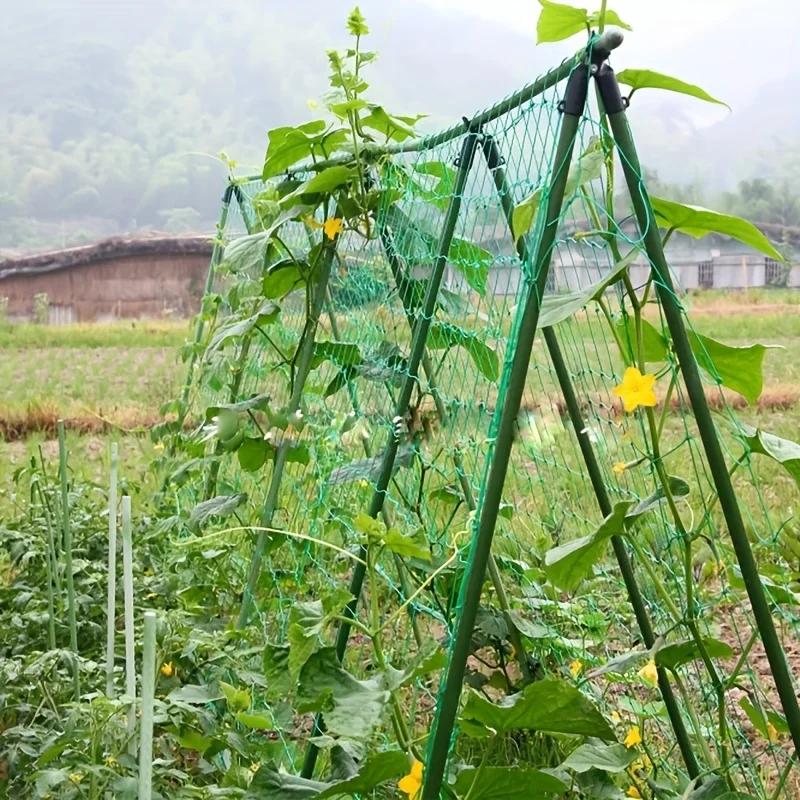 Green Gardening Mesh Net Anti-Wind Climbing Plant Vine Support Ideal for Cucumbers Chrysanthemums Cross-Border Plant Support
