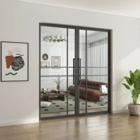 Wholesale Steel Frame Door with Tempered Glass Interior Double Pivot Doors 4