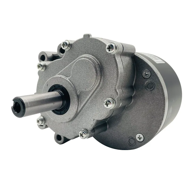 

MY1016Z Permanent Magnet DC Brushed Low Speed Secondary Geared Electric Vehicle Motor 24V250W Wheelchair Motor