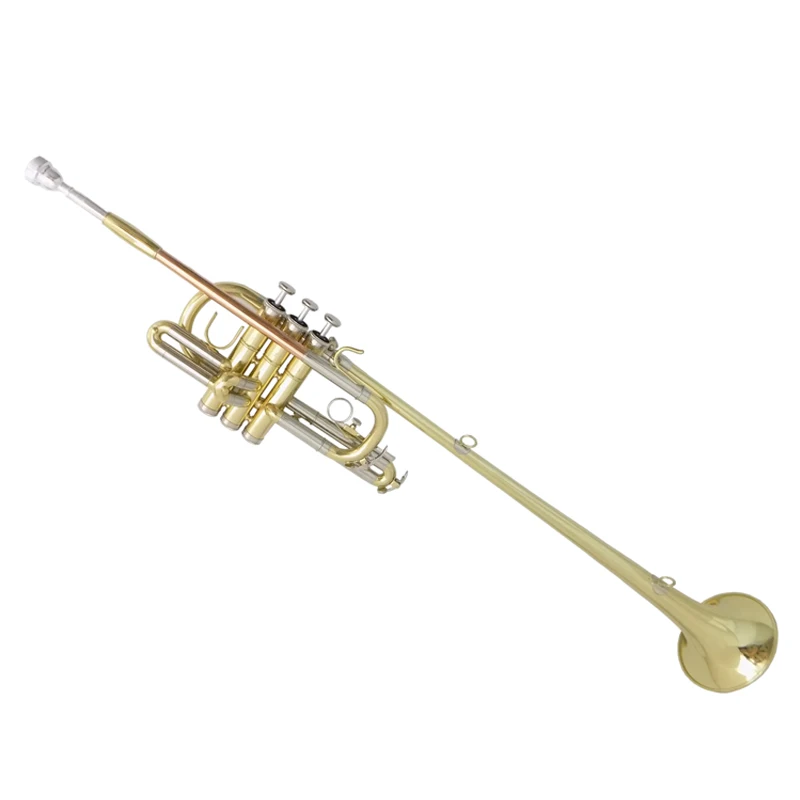 Bb Herald Trumpet Musical Instruments Lacquer Yellow Brass Body with Case Mouthpiece