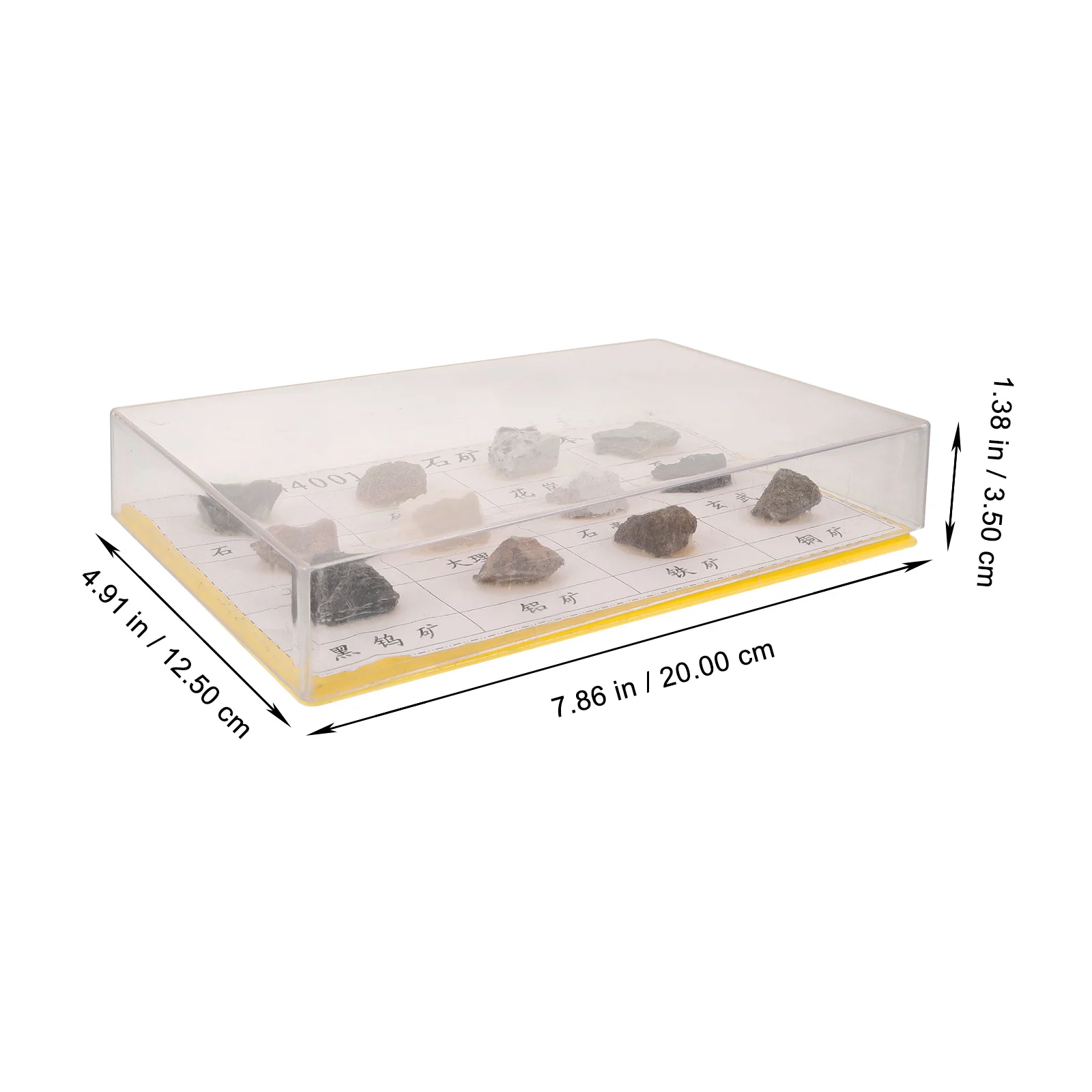

12Pcs Mineral Rock Specimen Collection Kit Portable Rock Set for Geology Classroom Laboratory Display Teaching