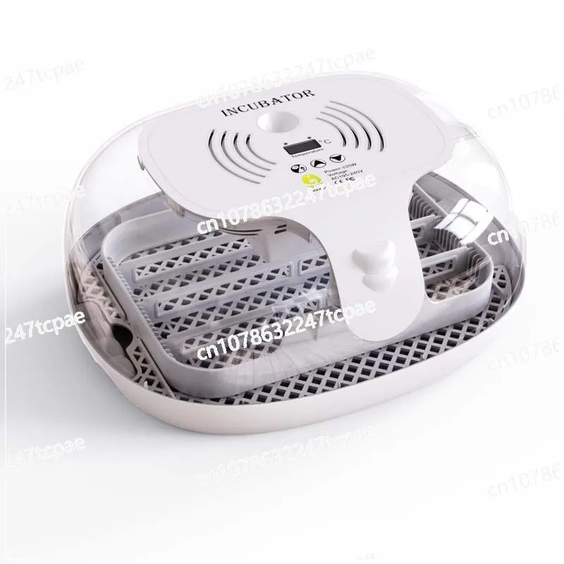 Suitable Forwonegg … - image