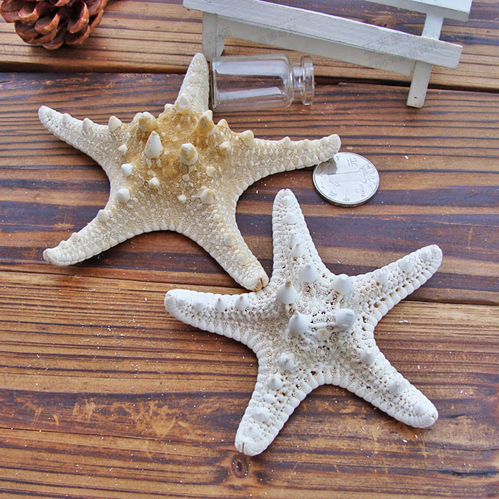 

2Pcs Natural Sea Star Ornaments Ocean Theme Decorations Wedding Party Home Photo Props Sea Star Ornaments